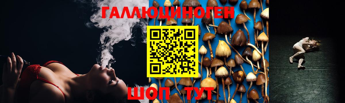 Малоярославец  Галлюциногенные грибы мухоморы  Вход с VPN  Галлюциногенные грибы Psilocybe 